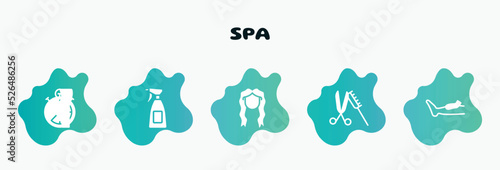 spa filled icons set. flat icons such as hair salon spray bottle and can, long female hair tincture, scissor and comb, waxing, liposuction icon collection. can be used web and mobile.