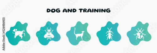 dog and training filled icons set. flat icons such as hoverfly, bengal cat, wharf borer, chrysomela, scold the dog icon collection. can be used web and mobile.