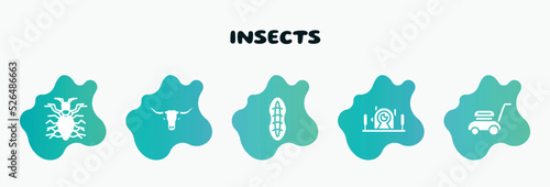 insects filled icons set. flat icons such as bull, plankton, underwater photography, lawn mower, tree lobster icon collection. can be used web and mobile.