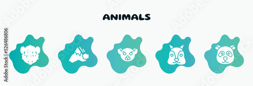 animals filled icons set. flat icons such as avalanche, lemur, squirrel, panda, monkey icon collection. can be used web and mobile.