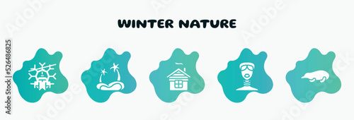 winter nature filled icons set. flat icons such as oasis, chimney, african, mole, snowflakes icon collection. can be used web and mobile.