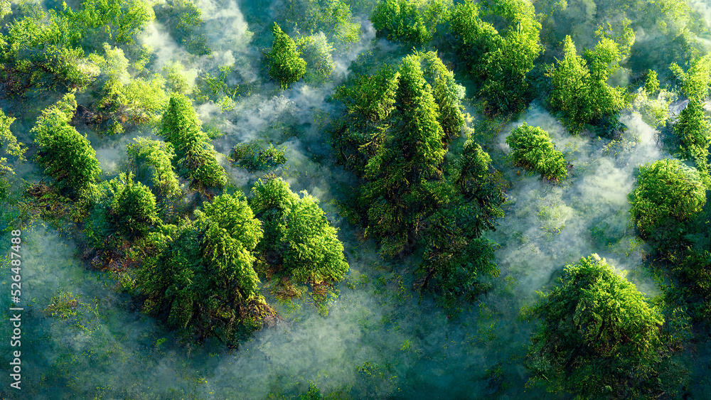 Illustration of top view on trees in forest with fog