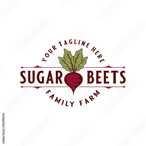 Vintage beet vector logo design. fresh beet concept in retro style. suitable for any kind of business beet, vegetable or produce.