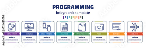 infographic template with icons and 8 options or steps. infographic for programming concept. included css file format, computing, cross-platform, binary file, programming language, plugin, clean