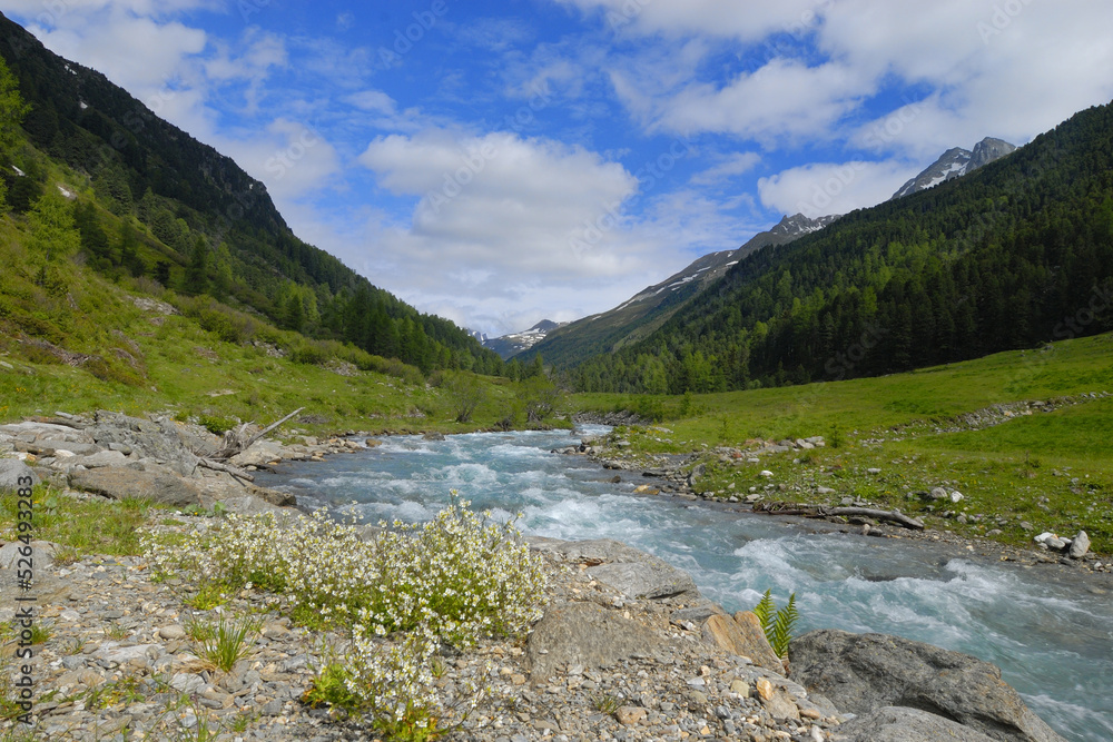 Fototapeta premium Defereggental in Österreich im Sommer