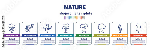 infographic template with icons and 8 options or steps. infographic for nature concept. included black locust tree, black cherry tree, cucumber tree slippery elm white oak butternut american larch