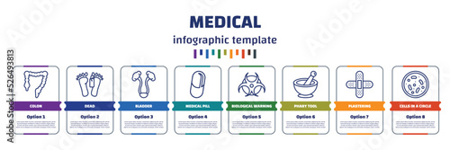 infographic template with icons and 8 options or steps. infographic for medical concept. included colon, dead, bladder, medical pill, biological warning, phary tool, plastering, cells in a circle