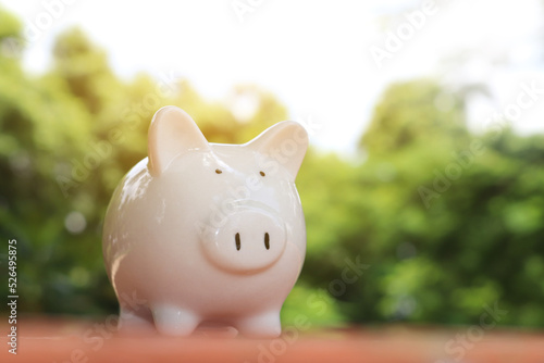 Money saving concept. White piggy bank was placed on the table with blurred bokeh outdoor green nature background. photo