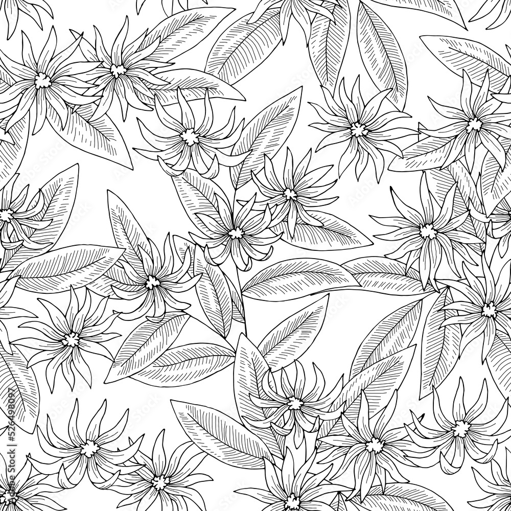 Star anise flower seamless pattern background graphic black white sketch illustration vector 