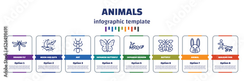infographic template with icons and 8 options or steps. infographic for animals concept. included dragon fly, moon and bats, ant, japanese butterfly, japanese dragon, buttefly, animal, walking dog