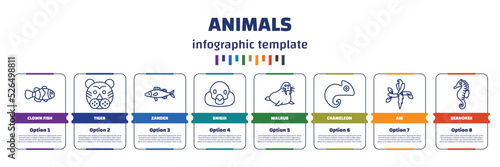 infographic template with icons and 8 options or steps. infographic for animals concept. included clown fish, tiger, zander, snigir, walrus, chameleon, aw, seahorse icons. photo