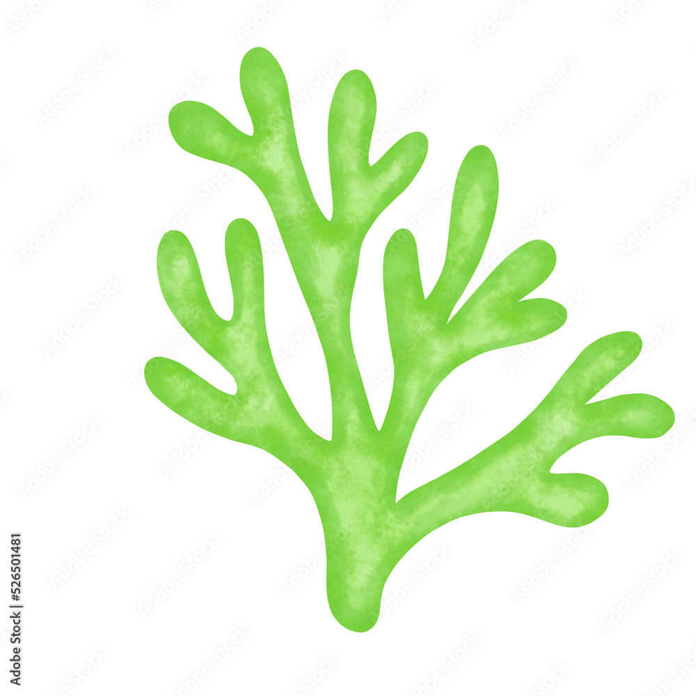 green seaweed leaf watercolor illustration green seaweed leaf watercolor illustration