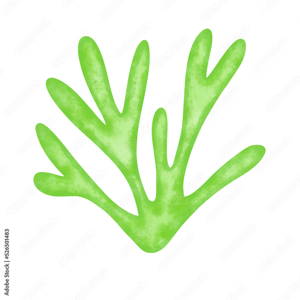 green seaweed leaf watercolor illustration green seaweed leaf watercolor illustration
