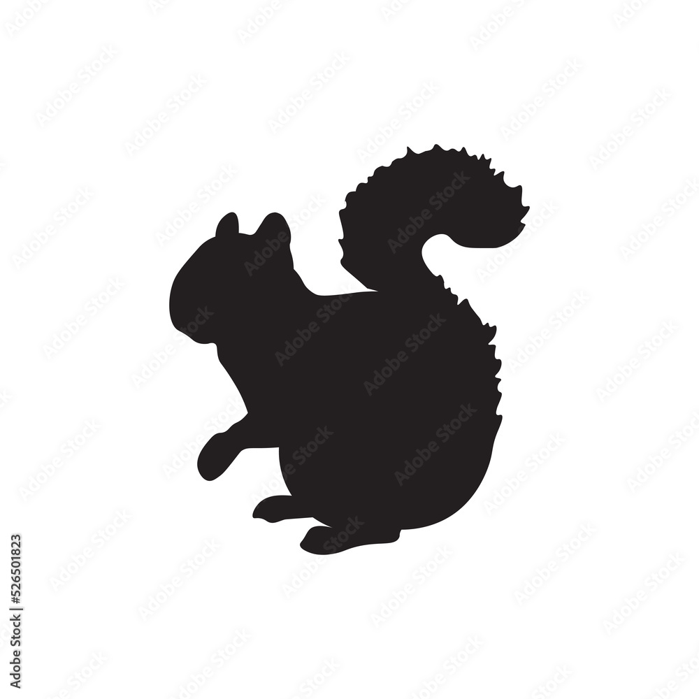 Fototapeta premium black squirrel vector illustration