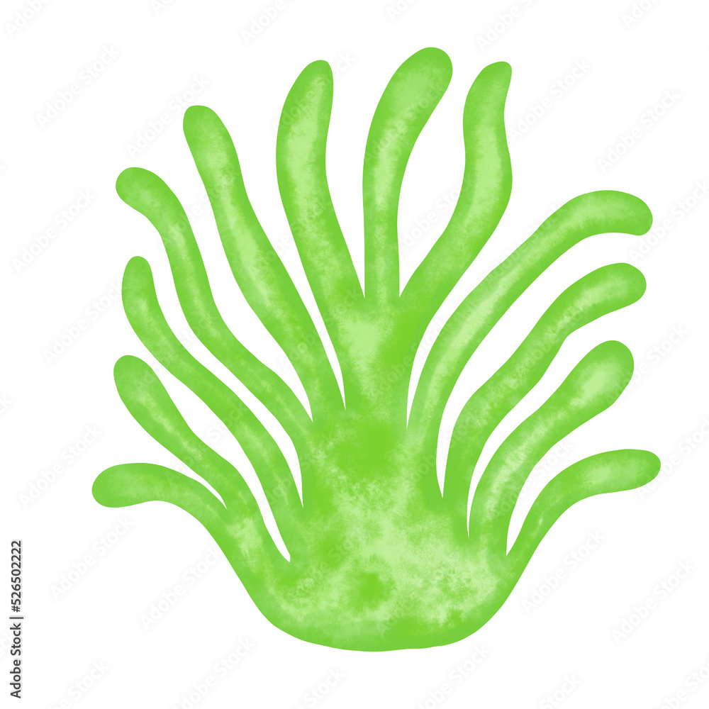 green seaweed leaf watercolor illustration green seaweed leaf watercolor illustration