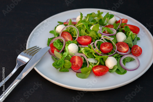 Vegetarian fresh vegetable salad with mozzarella on a white dish close-up
