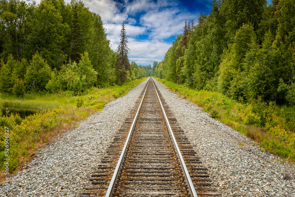 Fototapeta premium Straight railway tracks leading through the wilderness of Alaska
