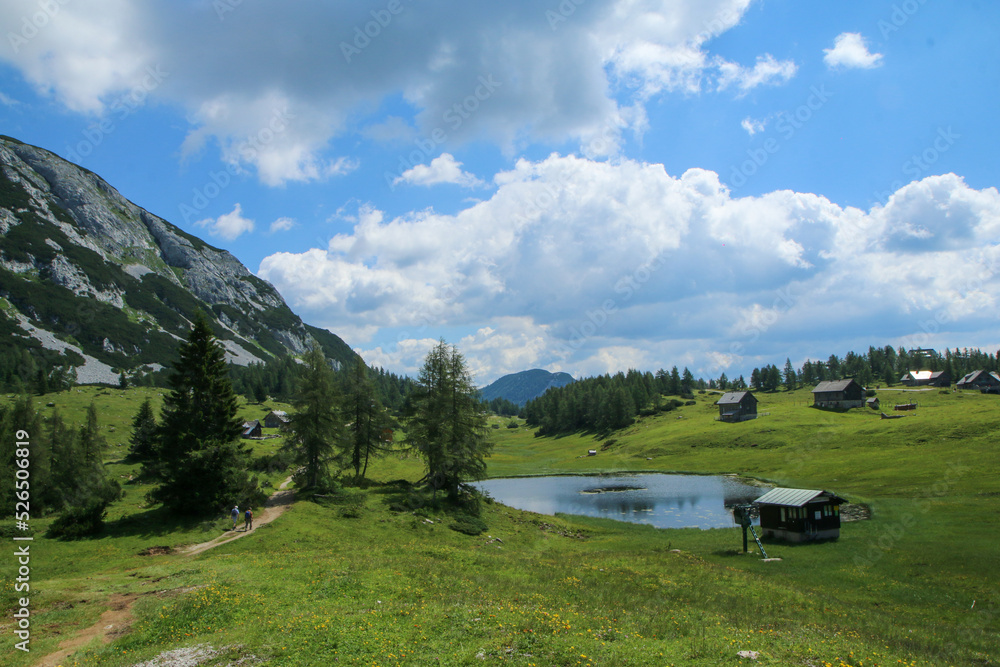 The picture from the beautiful nature in Austria in Tauplitzalm in the Alps. 