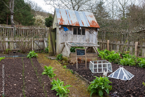 Slika na platnu Garden shed, cloches and cold-frame on an allotment in Devon, UK