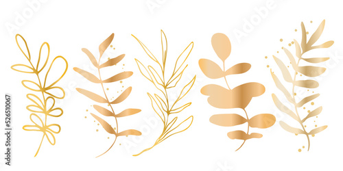 Hand drawn colorful plant set modern and universally usable. Flower branch and minimalistic plants. Hand drawn lines, elegant leaves for your own design. Botanical, chic and trendy plants.