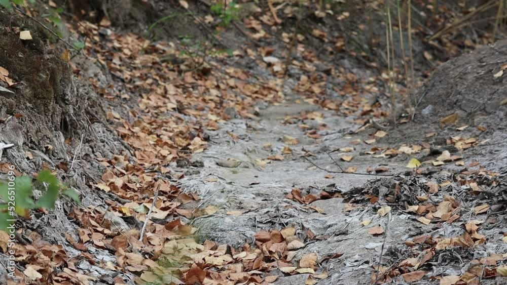 a small river dried up as a result of drought and heat, and only sand remained a small river dried up as a result of drought and heat, and only sand remained