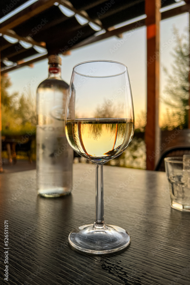 Weißwein im Glas im Sommer 