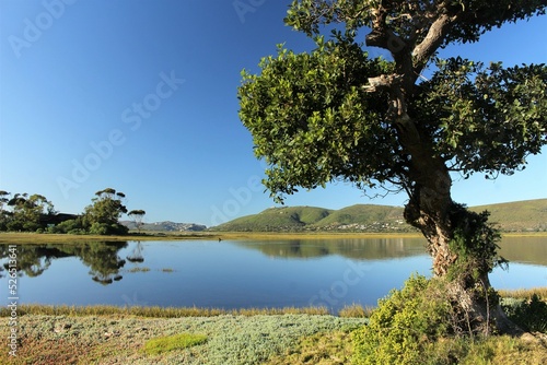 Landscape with water - beautiful lagoon in Knysna, South Africa