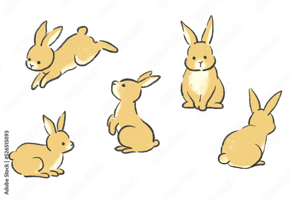 Obraz premium うさぎのかわいいイラスト ポーズ集