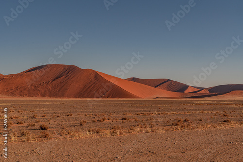 huge sand dunes in the Namib Desert with trees in the foreground of Namibia