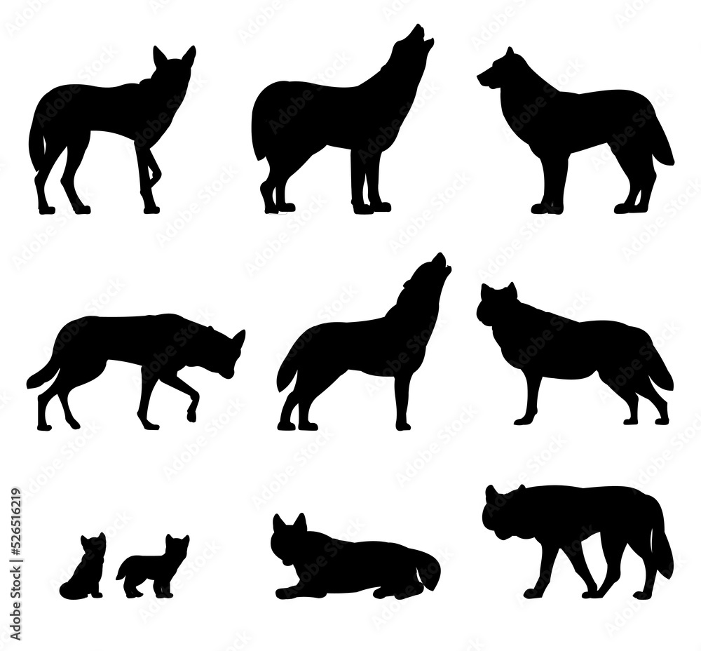 Set of silhouettes of wolves.flock. Silhouette picture. Wild animal in nature. Predator in natural conditions. Isolated on white background. Vector.