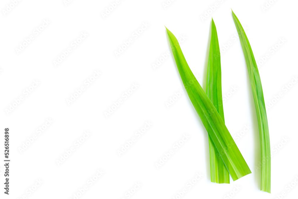 Fresh green pandan leaves isolated on white background Fresh green pandan leaves isolated on white background