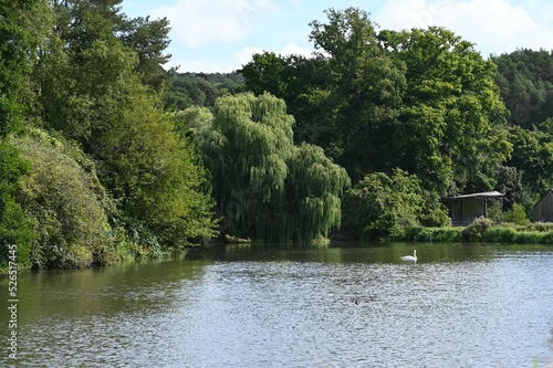 A lake at an English country estate in the UK photo