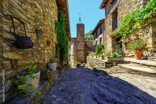 Fototapeta Naklejka Na Ścianę i Meble -  Picturesque alley with houses made of stone and pots with flowers in the medieval village of Beget, Girona, Catalonia.
