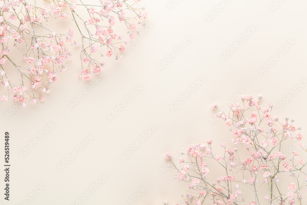 Beautiful flower background of pink gypsophila flowers. Flat lay, top view. Floral pattern.