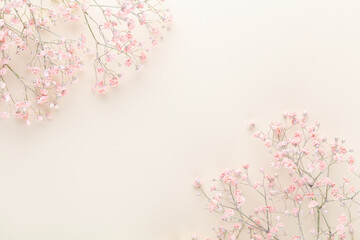 Beautiful flower background of pink gypsophila flowers. Flat lay, top view. Floral pattern.