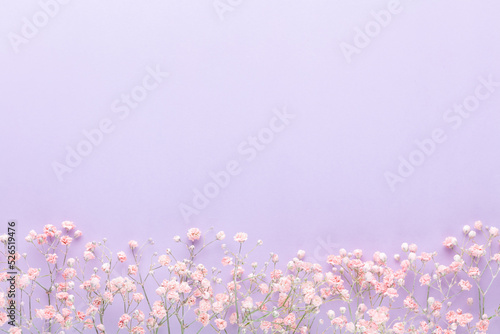 Beautiful flower background of pink gypsophila flowers. Flat lay, top view. Floral pattern.