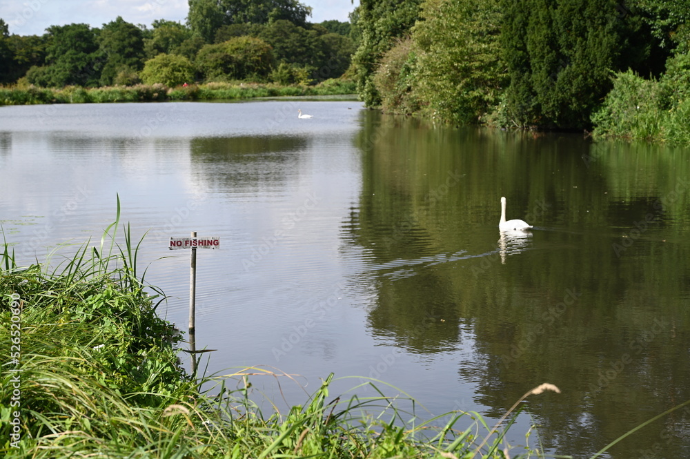 No fishing sign at a lake at an English country estate in Surrey.