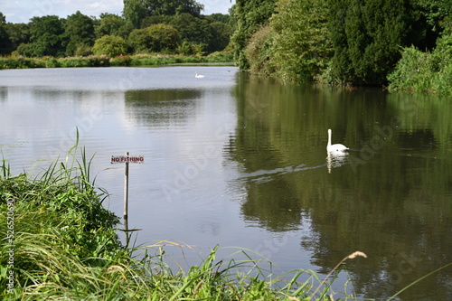 No fishing sign at a lake at an English country estate in Surrey. #526520690