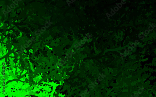 Dark Green vector natural backdrop with leaves, branches.