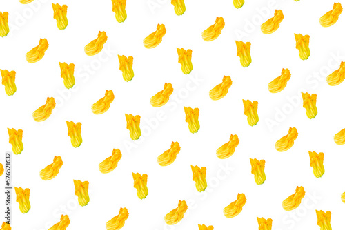 Zucchini flowers on a white background