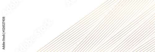 White abstract corporate background with golden lines. Vector banner design