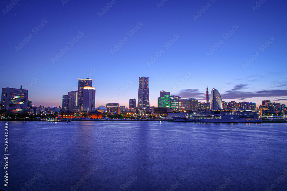 Fototapeta premium city skyline at night