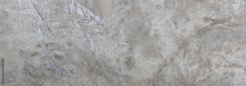 panoramic gray burnt cement texture panoramic gray burnt cement texture