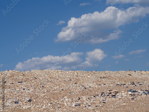Mountains of small and large, colorful seashells against a cloudy sky. Large piles of seashells against the blue sky