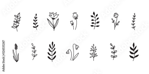 Floral elements set flowers leaves simple outline style