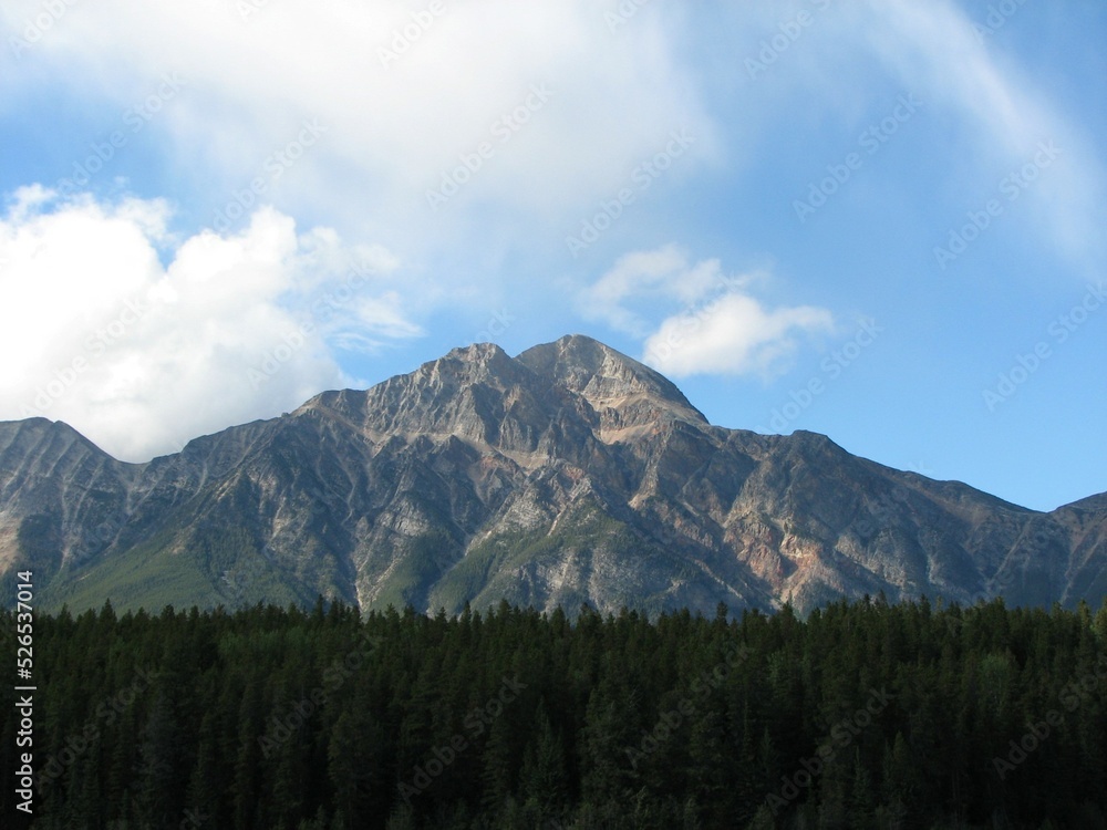 Fototapeta premium Mountain behind the forest