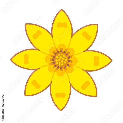 Adey abeba Ethiopian flower