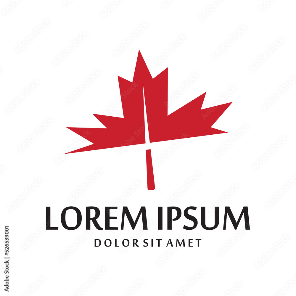Maple leaf vector illustration Maple leaf vector illustration