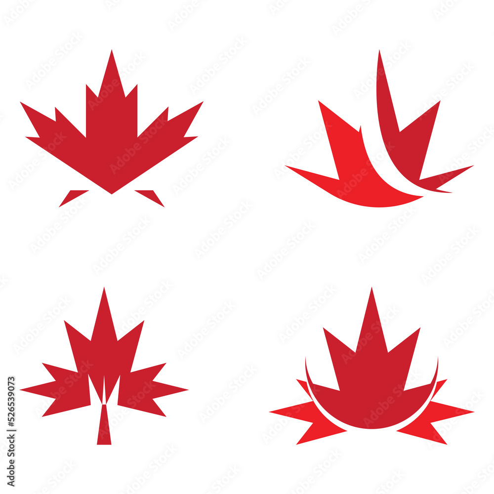 Fototapeta premium Maple leaf vector illustration