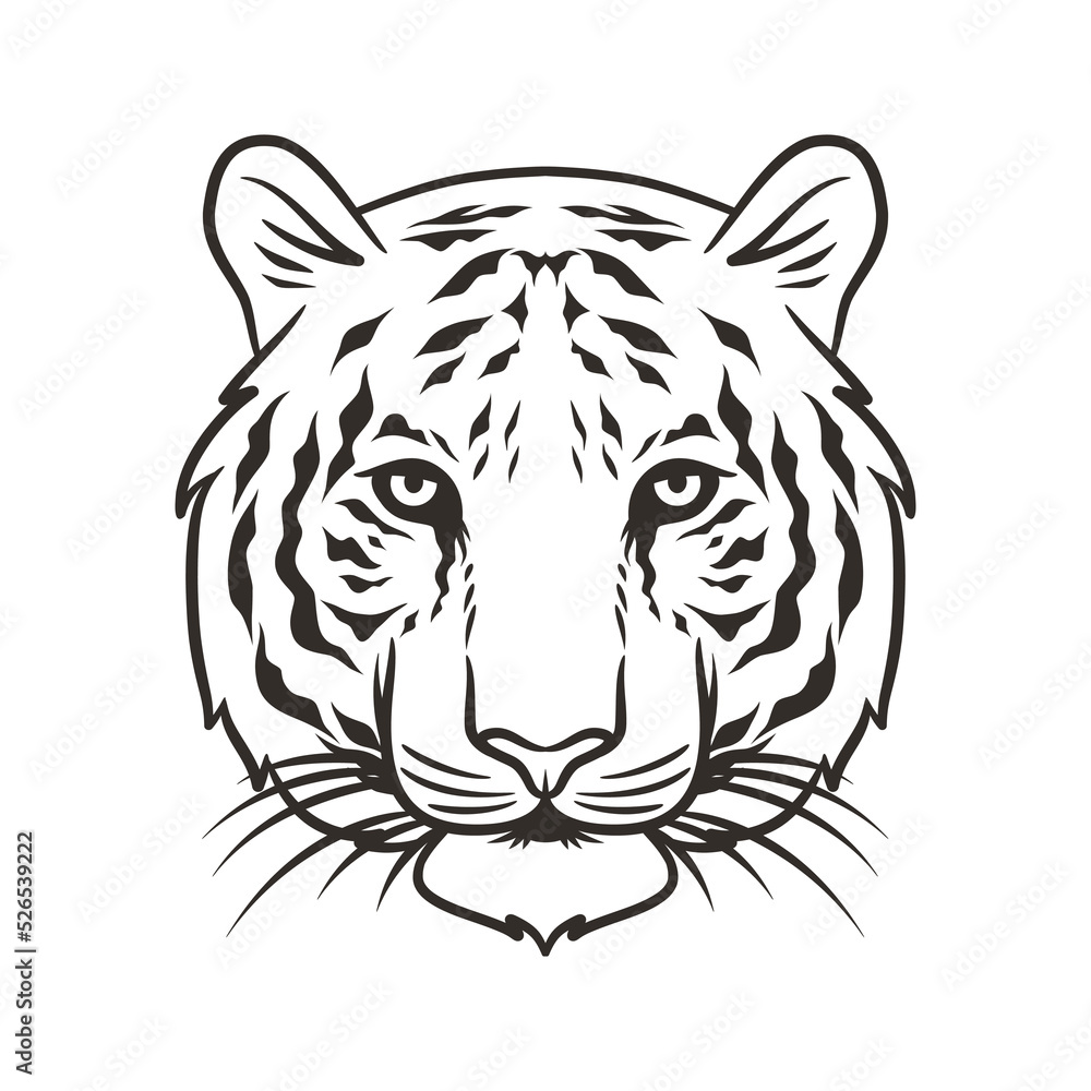 tiger head vector illustration graphic mascot tiger head vector illustration graphic mascot